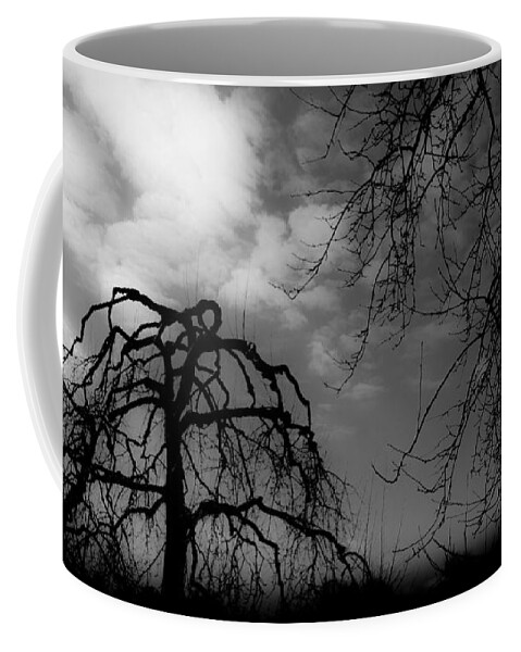 Apple Coffee Mug featuring the photograph Winter Silhouette by Michael Arend