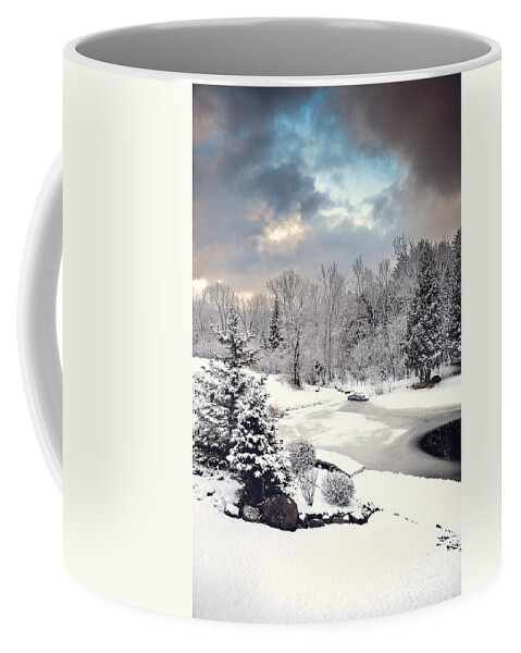 Winter Wonderland Picture Coffee Mug featuring the photograph Winter Solace by Gwen Gibson