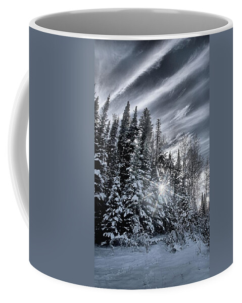Star Coffee Mug featuring the photograph Winter Star by David Andersen