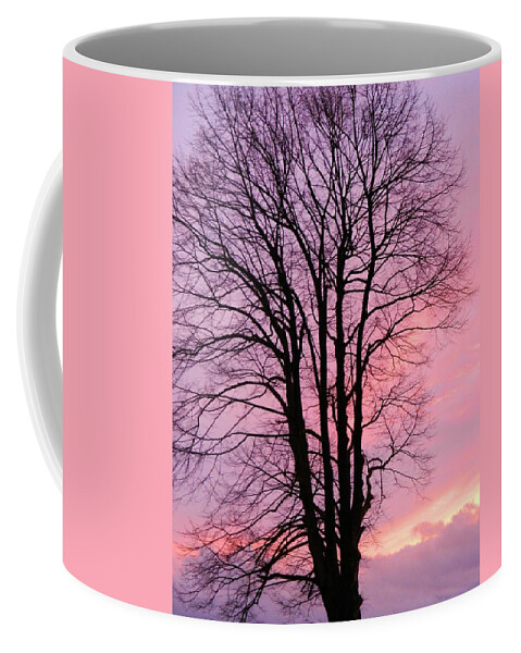 Sunset Coffee Mug featuring the photograph Winter Sunset by Gallery Of Hope 