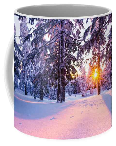 Sunset Coffee Mug featuring the photograph Winter Sunset Through Trees by Priya Ghose