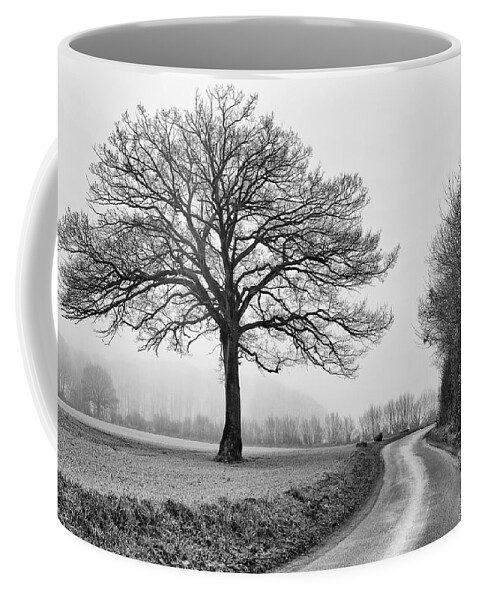 Tree Coffee Mug featuring the photograph Winter Tree by Jurgen Lorenzen
