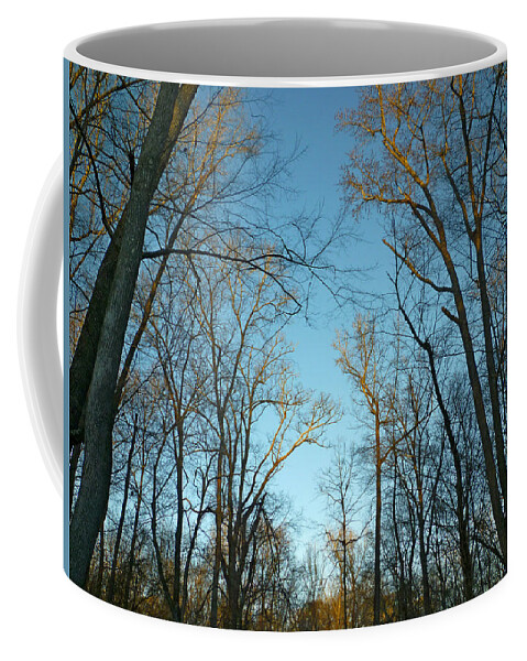 Park Coffee Mug featuring the photograph Winter Trees by Pete Trenholm