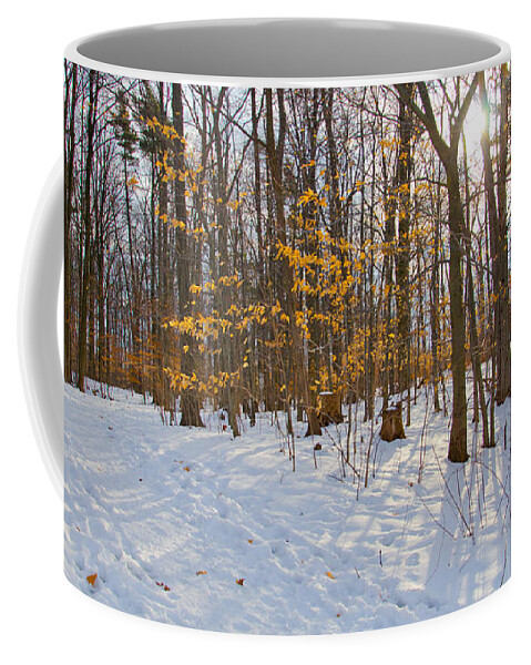 Winter Coffee Mug featuring the photograph Winter Walk by Laurel Best