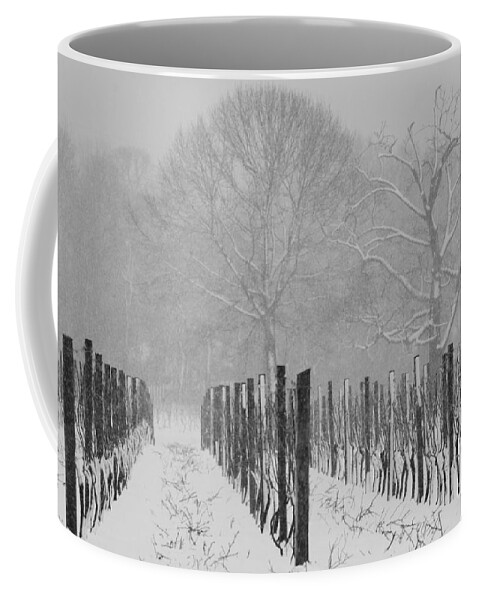 Winter Snowstorm Coffee Mug featuring the photograph Winter Wine by Steven Macanka