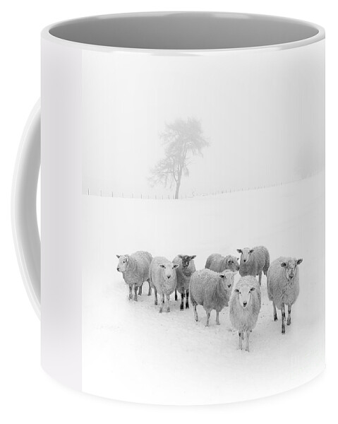 #faatoppicks Coffee Mug featuring the photograph Winter Woollies by Janet Burdon