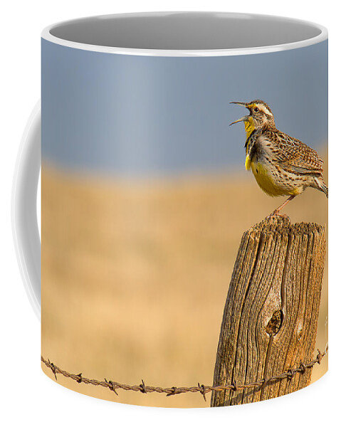 Meadowlark Coffee Mug featuring the photograph With a Song in My Heart by Jim Garrison