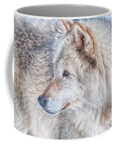 Timberwolf Coffee Mug featuring the photograph Wolf in Disguise by Bianca Nadeau