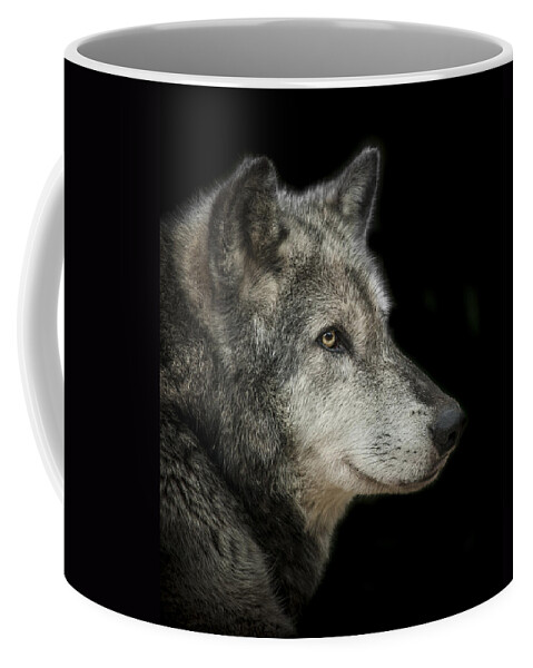 Wolf Coffee Mug featuring the photograph Wolf by Paul Neville
