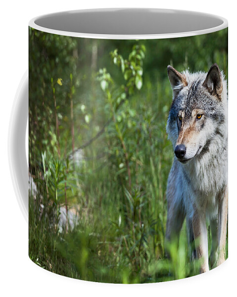 Wolf Coffee Mug featuring the photograph Wolf by Yngve Alexandersson