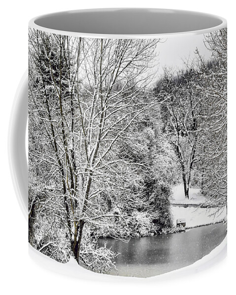 Trees Coffee Mug featuring the photograph Wonderland 2 by Judy Wolinsky