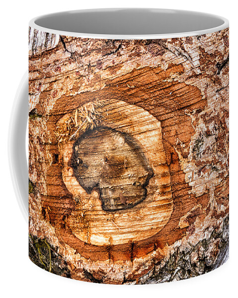 Wood Coffee Mug featuring the photograph Wood detail by Matthias Hauser