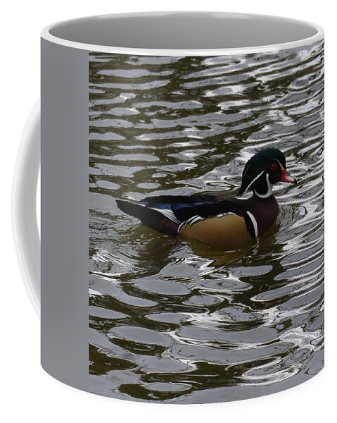 Duck Coffee Mug featuring the photograph Wood Duck on Water by Lawrence Christopher