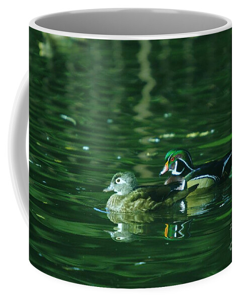 Wood Ducks Ducks Coffee Mug featuring the photograph Wood Duck Pair by Jeff Swan