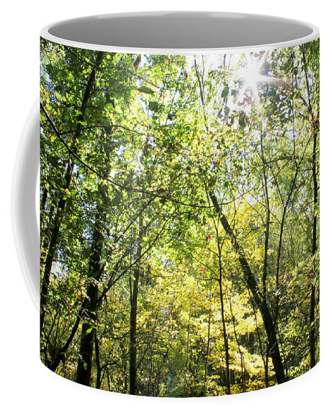Woods Coffee Mug featuring the photograph Wooded Sunshine by Inspired Arts