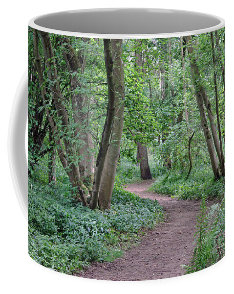 Woodland Path Coffee Mug featuring the photograph Woodland Path by Tony Murtagh