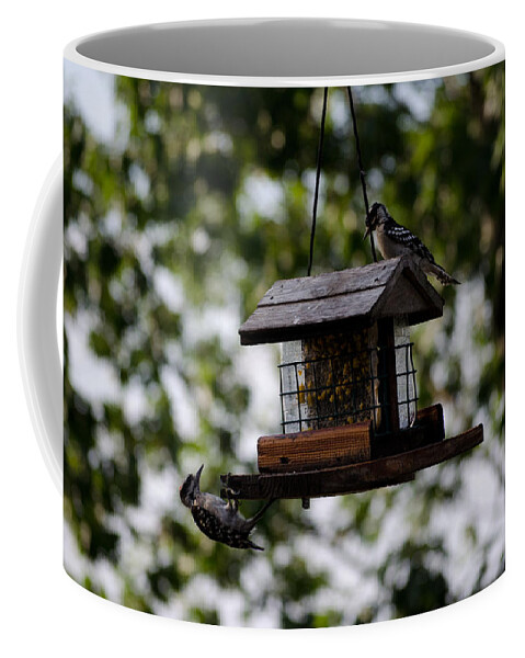 Woodpecker Coffee Mug featuring the photograph Woodpeckers at Dinner by Jim Shackett