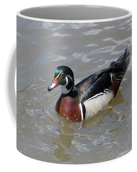 Ducks Coffee Mug featuring the photograph Wood Duck #2 by John Freidenberg