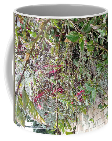 Spider Coffee Mug featuring the photograph World Wide Web by Michelle S White