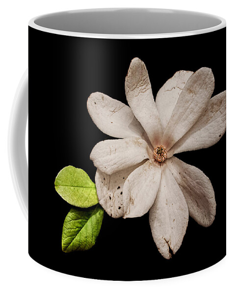 Wounded White Magnolia Coffee Mug featuring the photograph Wounded White Magnolia by Weston Westmoreland