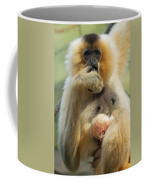Motherhood Coffee Mug featuring the photograph Wow. I have a baby by Jaroslav Frank
