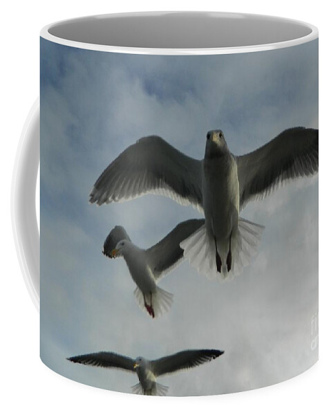 Birds Coffee Mug featuring the photograph Wow Seagulls 1 by Gallery Of Hope 