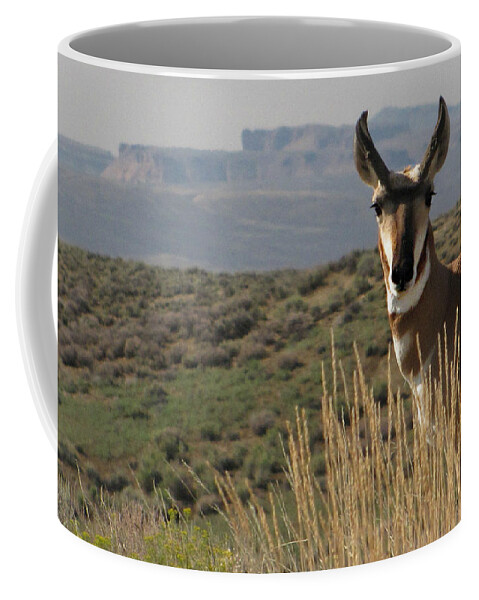 Flaming Gorge Coffee Mug featuring the photograph Wyoming Pronghorn by KATIE Vigil