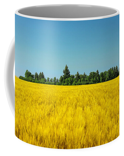 Field Coffee Mug featuring the photograph Yellow and Blue Make Green by Todd Klassy