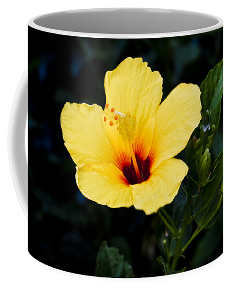Botanic Coffee Mug featuring the photograph Yellow and Red Hibiscus by Christi Kraft