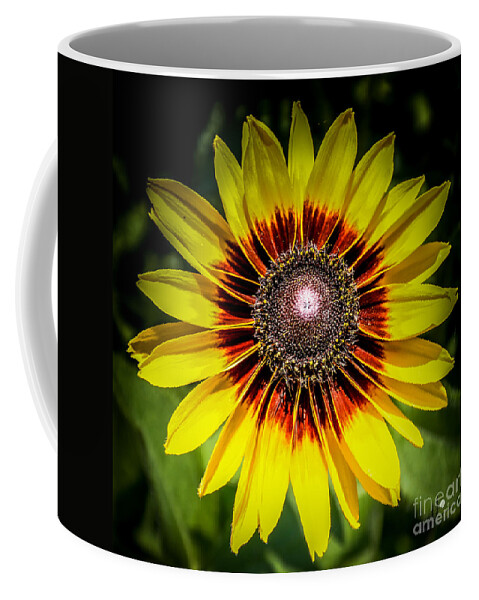 Yellow Coffee Mug featuring the photograph Yellow and Rust by Ronald Grogan