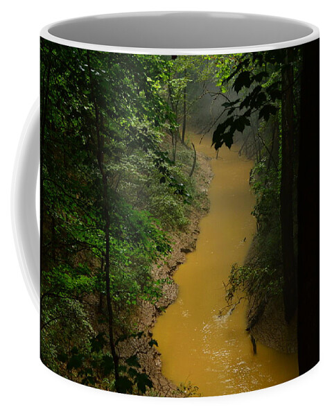  Cedar Sink Creek Coffee Mug featuring the photograph Hidden Cedar SInk Creek by Stacie Siemsen