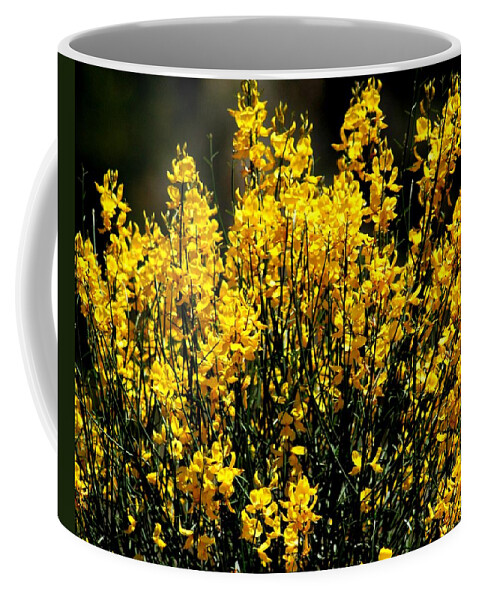 Flowers Coffee Mug featuring the photograph Yellow Cluster Flowers by Matt Quest