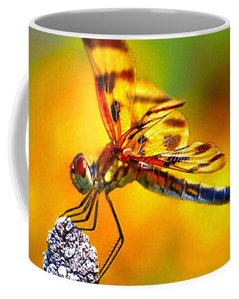 Dragonfly Coffee Mug featuring the photograph Yellow Dragon by Adam Olsen