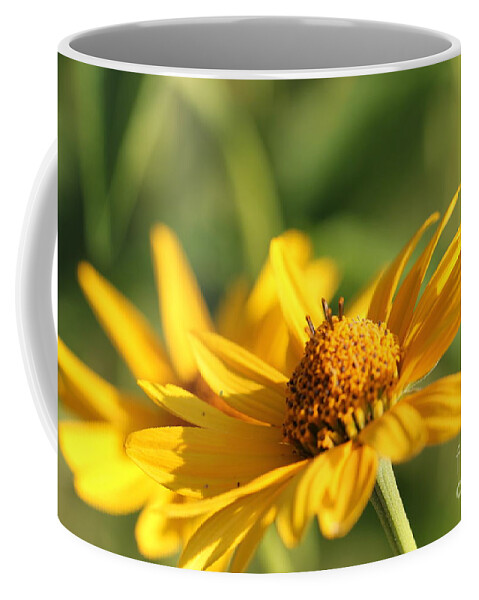Blossom Coffee Mug featuring the photograph Yellow Flower by Amanda Mohler