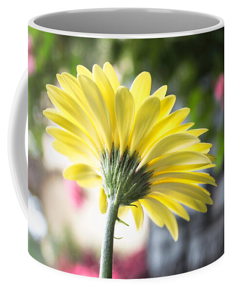 Daisy Coffee Mug featuring the photograph Yellow Gerbera by Arlene Carmel