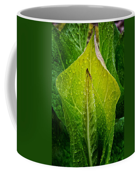 Skunk Cabbage Coffee Mug featuring the photograph Yellow Green Skunk Cabbage by Bill Wakeley