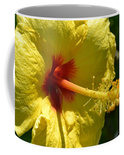 Hibiscus Coffee Mug featuring the photograph Yellow Hibiscus by Amanda Eberly