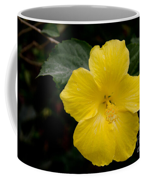 St. Lucia Coffee Mug featuring the photograph Yellow Hibiscus by Laurel Best