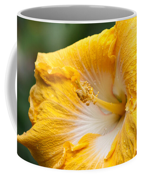 Nature Coffee Mug featuring the photograph Yellow Hibiscus by Michael Porchik