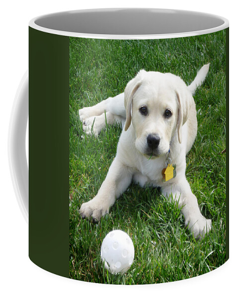 Puppy Coffee Mug featuring the photograph Yellow Lab Puppy Got A Ball by Irina Sztukowski