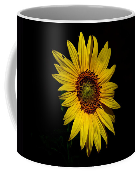 Bees Coffee Mug featuring the photograph Yellow on Black by Kathi Isserman
