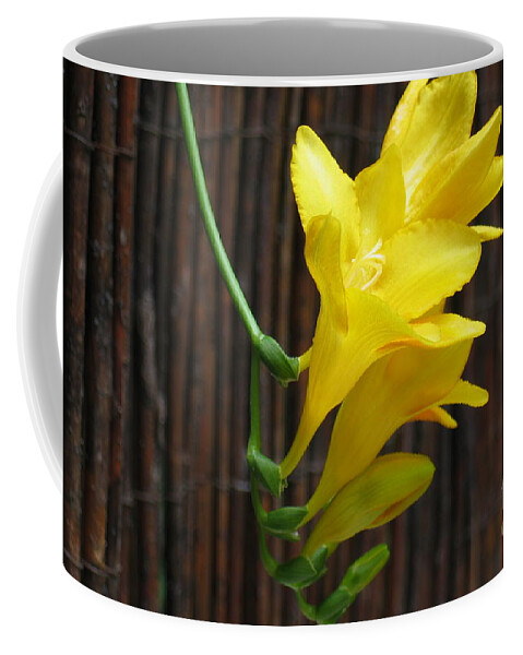 Flower Buds Coffee Mug featuring the photograph Yellow Petals by HEVi FineArt