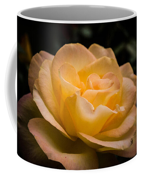 New England Coffee Mug featuring the photograph Yellow ray of sunshine by Jeff Folger