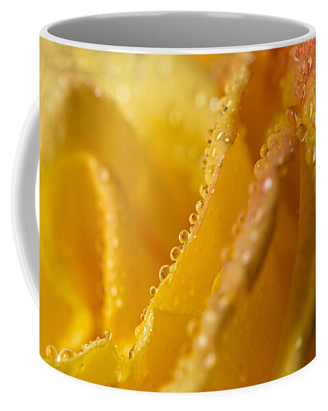 Plant Coffee Mug featuring the photograph Yellow Rose Dew by Mary Jo Allen