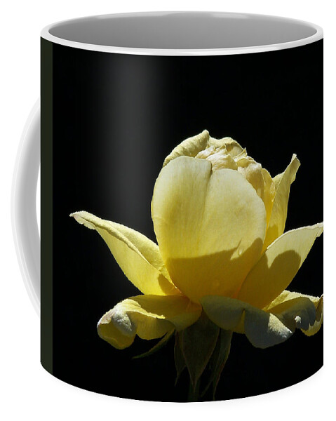 Yellow Rose Coffee Mug featuring the photograph Yellow Rose by Ernest Echols