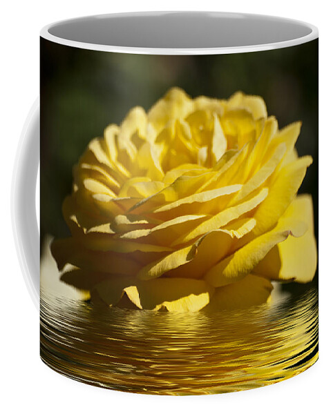 Yellow Rose Coffee Mug featuring the photograph Yellow Rose Flood by Steve Purnell