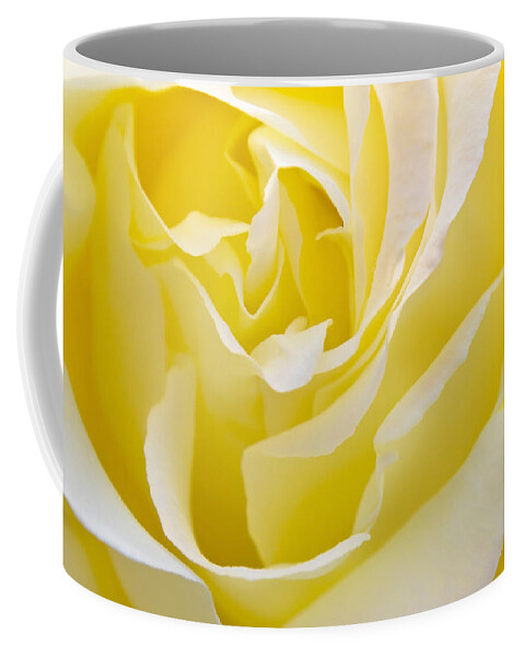 Rose Coffee Mug featuring the photograph Yellow Rose by Svetlana Sewell
