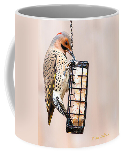Heron Heaven Coffee Mug featuring the photograph Yellow-shafted Northern Flicker Lunch by Ed Peterson