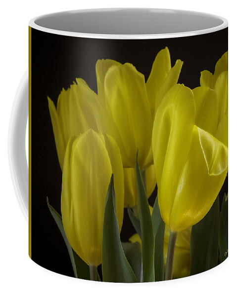 Tulips Coffee Mug featuring the photograph Yellow Silk by Lucinda Walter