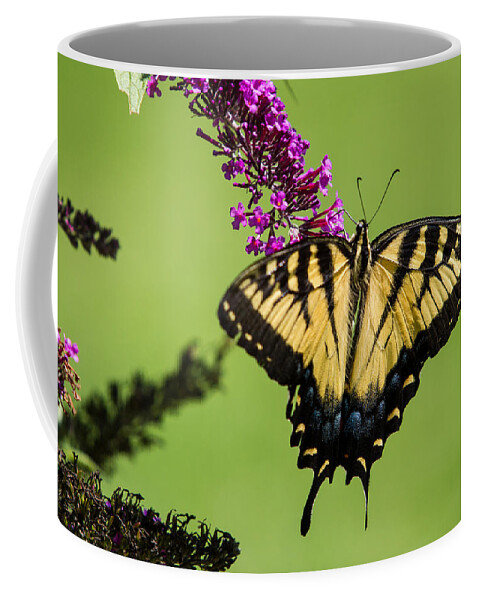 Yellow Swallowtail Coffee Mug featuring the photograph Yellow Swallowtail by Eleanor Abramson